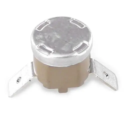 Delonghi 5285001600 FUSE
