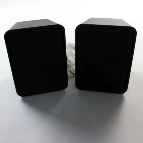 Philips USPSPKHYE002F Front Speaker