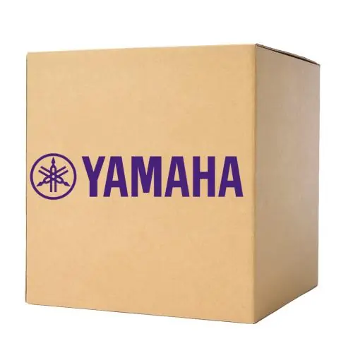 Yamaha 710074 Yamaha Large Bracket Screw 034G021 Ns