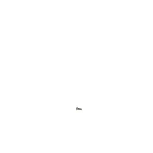 Dewalt 5140067-12 Screw