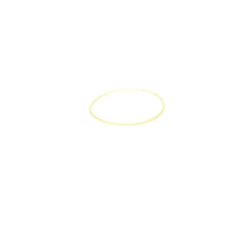 Dewalt 612096-00 O-ring