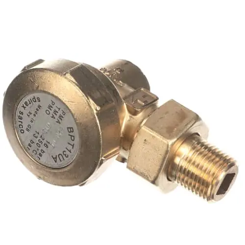 Crown Steam 9170-1 Steam Trap