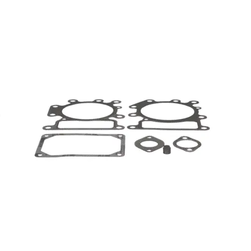 Briggs Stratton 794152 Gasket Set-valve