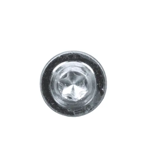 Bosch Tools 1613490010 Torx Oval-head Screw