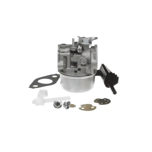 Briggs Stratton 798653 Carburetor