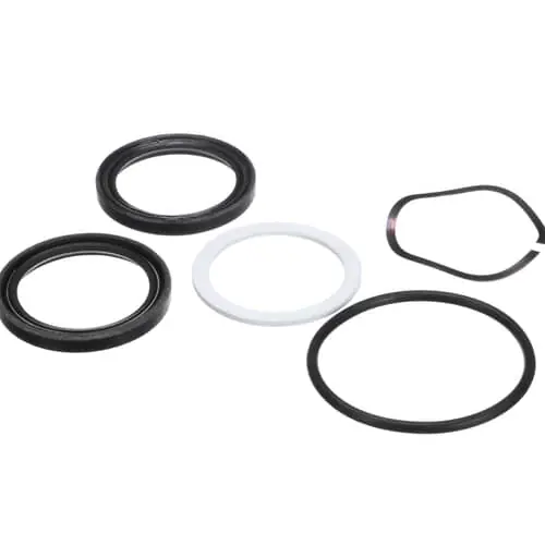Cleveland 1H800-0000022 Shaft Seal Kit 300 Hak