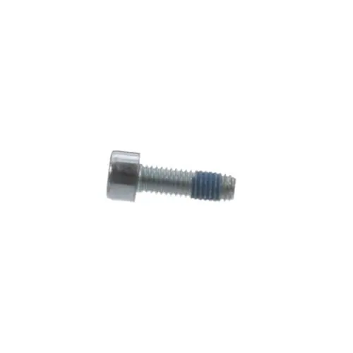 Bosch Tools 1613414021 Microencapsulated Screw