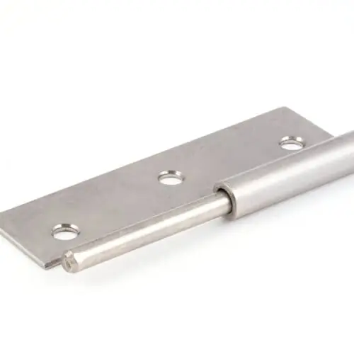 BKI H0009 Hinge,door, Rh, Pin Side, Frye