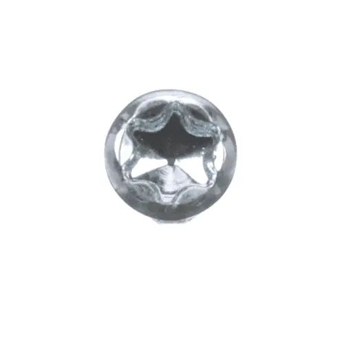 Bosch Tools 2603433001 Torx Oval-head Screw