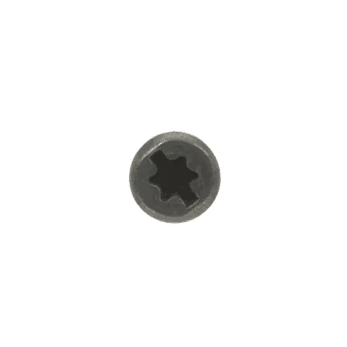 Bosch Tools 1619P01505 Screw