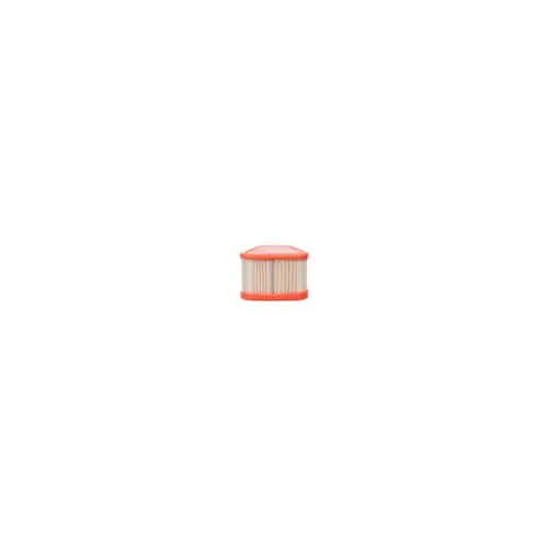 Briggs Stratton 595853 Filter, Air