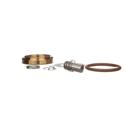 Hobart 00-892072 Kit, Service, 3/4 Steam Valve