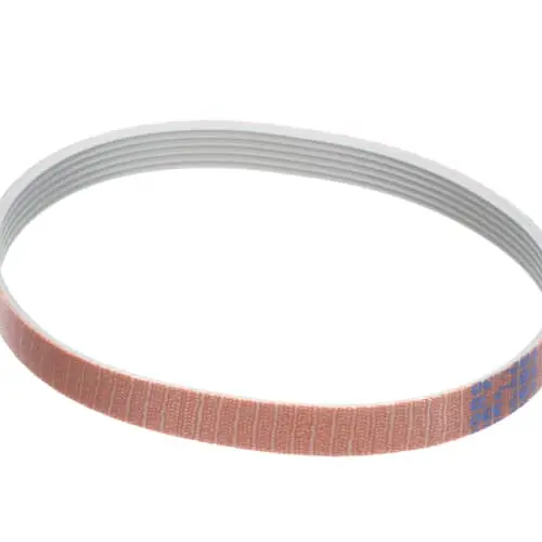 Globe MCA51 Belt(c9)