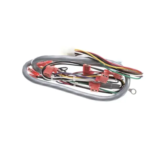 Grindmaster Cecilware CF19AL Harness - Gb1/2/3 Door