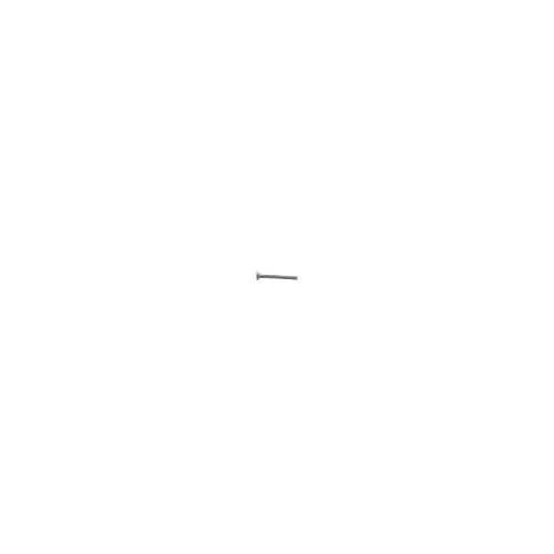 Echo 43301600830 Adjust Screw