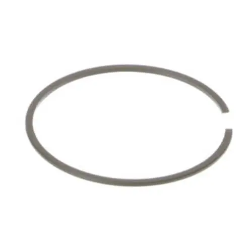Echo 10001133730 Ring- Piston