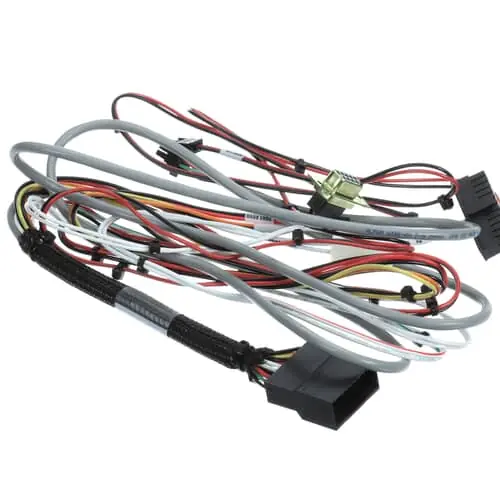 FBD 12-3116-0169 Harness 561 Machn To Door Bt