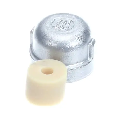Hatco R03.40.012.00 Kit 3/8 Ss Pipe Cap W/washer