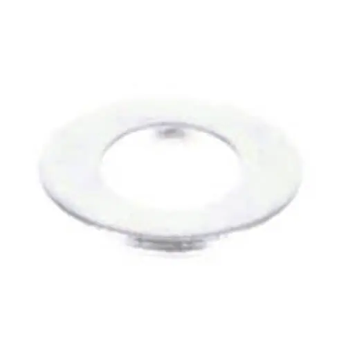 Echo 90060200010 Washer 10