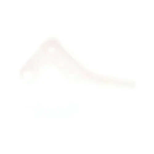 Echo C450000060 Control-throttle