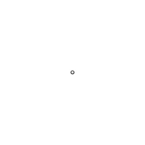 Echo 17504903920 Washer