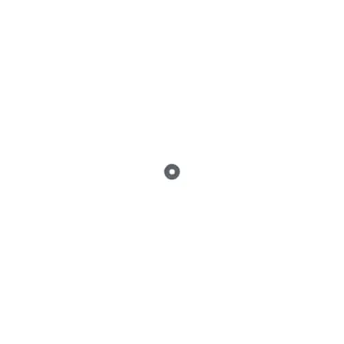 Echo 60501454230 Washer