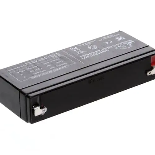 Globe E133100 Storage Battery